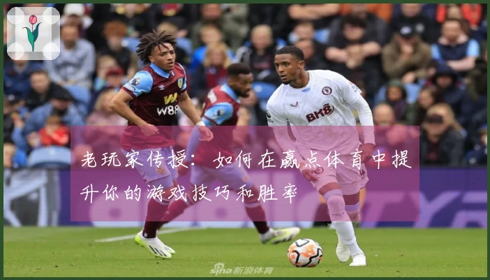 老玩家传授：如何在赢点体育中提升你的游戏技巧和胜率