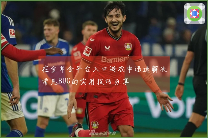 在金年会平台入口游戏中迅速解决常见BUG的实用技巧分享