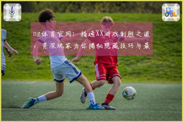 ng体育官网：精通XX游戏制胜之道，资深玩家为你揭秘隐藏技巧与最优策略